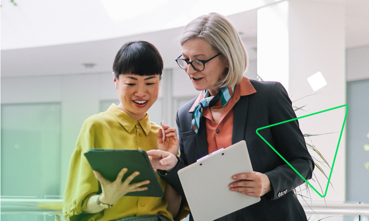 <p>Project portfolio management software<br></p>