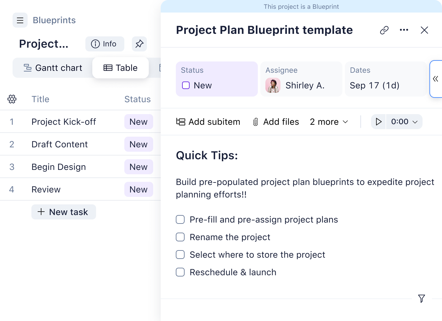 Blueprint project plan with customizable header fields in Wrike interface.